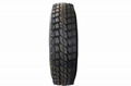 Radial Tyre