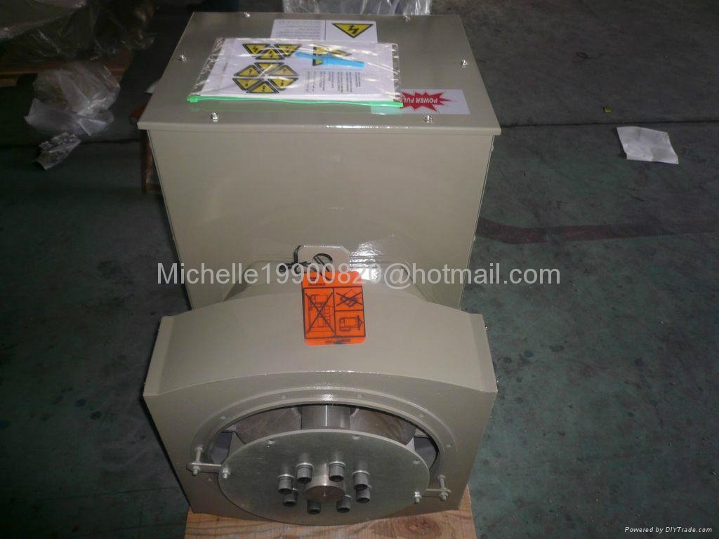 20KW Brushless AC Alternator Dynamo Generator 2