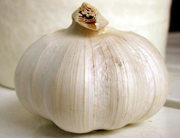 Fresh garlic 5