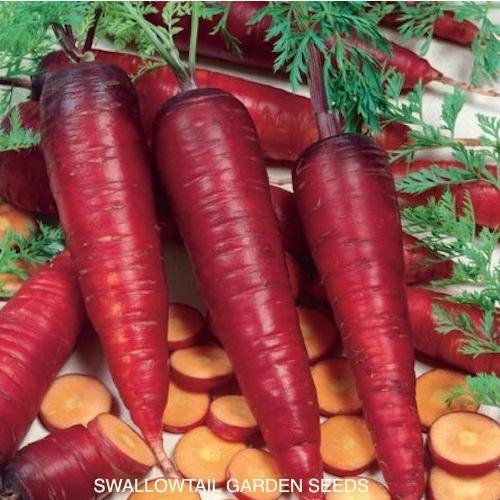 Fresh carrot 4