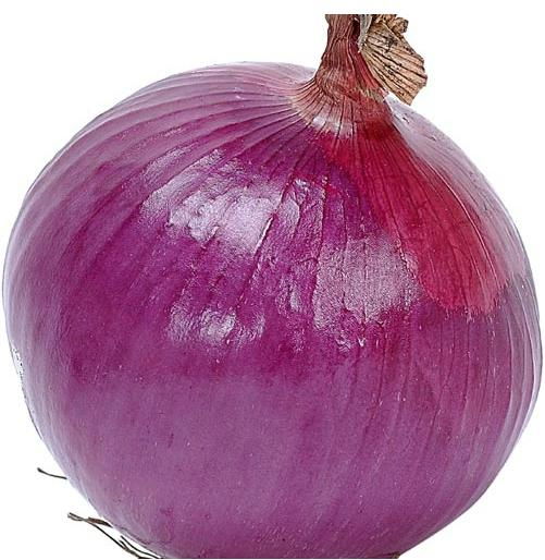 fresh onion