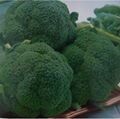 fresh broccoli 1