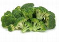 fresh broccoli 2