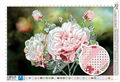 Phantom peony cross stitch 3