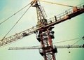 MOBILE AND CONSTRUCTION TOWER CRANE   QTZ80 3