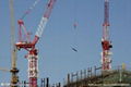 Tower crane Honest And Trustworthy Enterprise qtz250 3