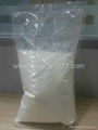 hydrolysated fish collagen 1