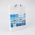 Manufacture export standard paper bag 3