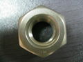 ASTM A194-8M Stainless Steel Heavy Hex Nuts