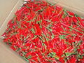 SELL FRESH SMALL RED CHILLI 2