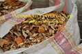 Vietnam Dry Crab Shell hight quality