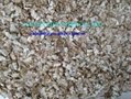 best selling and quality dried shrimp shell 3