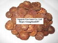 Dried Betel Nut With Hight Quality 3