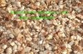 best selling and quality dried shrimp shell