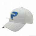 3D Embroidered Fitted Baseball Hat Golf Cap