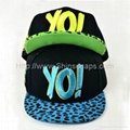 Fashion Custom Embroidered Hip Hop Cap