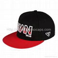 3D Embroidered Cotton Fashion Flat Cap