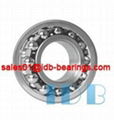 Self-Aligning Double Row Ball Bearings 1200 series 1