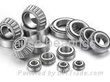 Tapered Roller Bearing