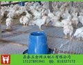 3米寬養雞塑料平網|養殖雛雞塑料網|飼養雛鴨塑料養殖網廠家 1