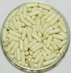 Vacant gelatin capsule