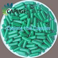 Vacant gelatin capsule 4