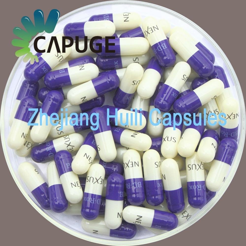 HPMC capsule 2