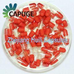 Enteric coated capsule