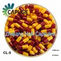 Gastric coated capsule 1