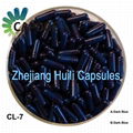 Gastric coated capsule 3