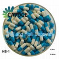 Gastric coated capsule 4