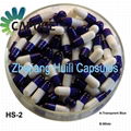 Gastric coated capsule 5