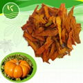 dehydrated pumpkin flakes 1