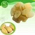 dehydrated potato chips or flakes