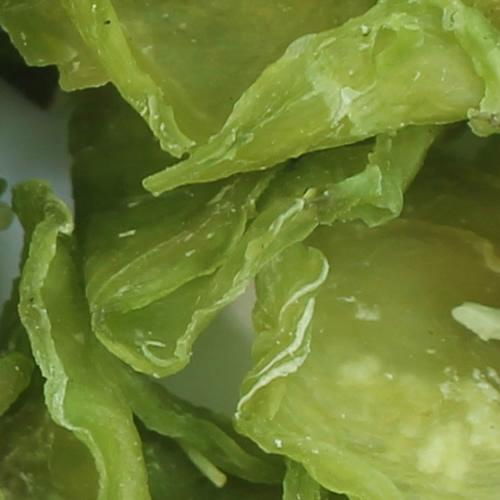 Dehydrated lettuce and air dried lettuce 2