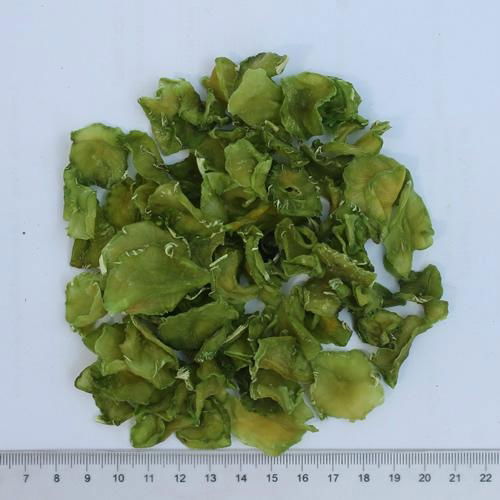 Dehydrated lettuce and air dried lettuce 4