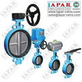 LPB11 Green Butterfly Valve 2