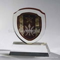 Acrylic awards | trophy 2