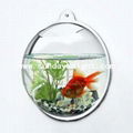 Acrylic Fishbowl & Fish tank 1