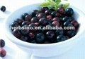 Acai berry extract
