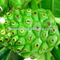 Noni extract