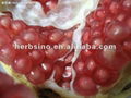 Pomegranate extract 1