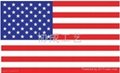 US flag  3
