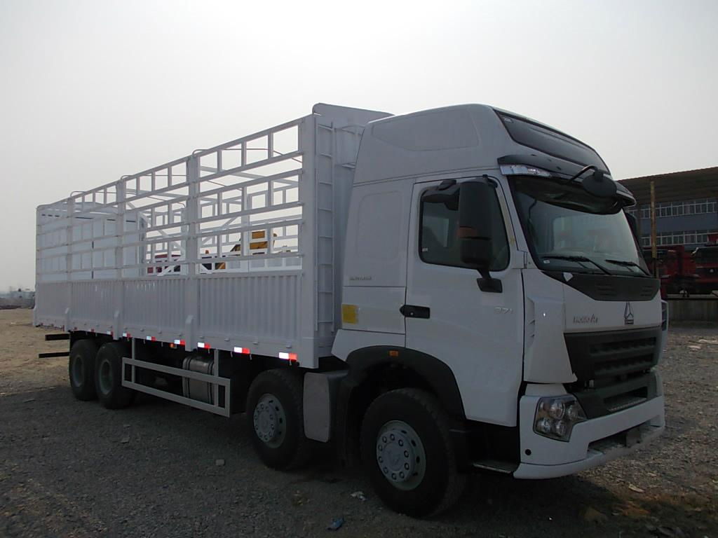 china howo cargo truck  2