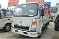 china light truck 2