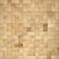 coconut mosaic background wall  3