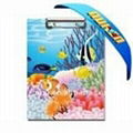 3d lenticular file folder