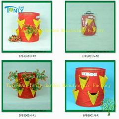 Strawberry Planting Bag Supplier