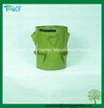 Strawberry Plant Grow Bag