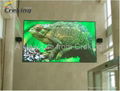 P12.5 Full Color LED Display Module for Indoor Advertisement/Dance floor  1